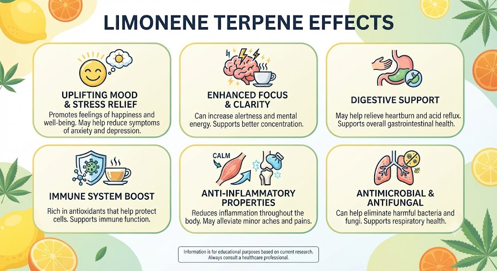 Limonene Terpene Effects: Benefits, Uses, and What to Expect